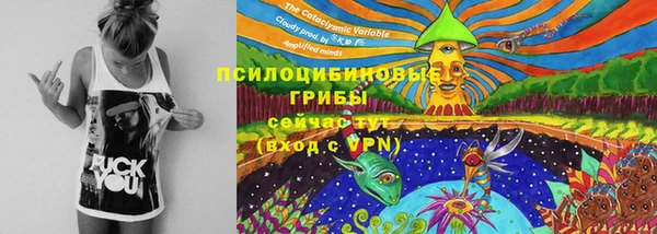 хмурый Абинск